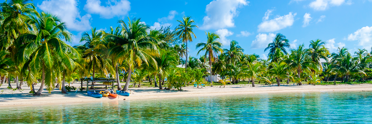 Vinterens bedste tilbud på øverste hylde!