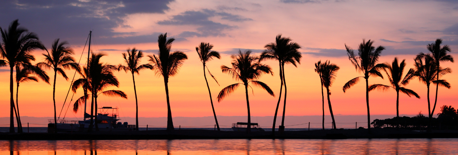 BLACK FRIDAY OFFERS!