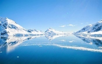 Antarktis - Elephant Island