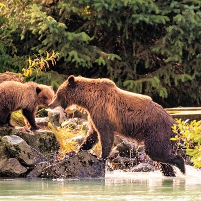 Stunning Alaska - incl. flights and stay