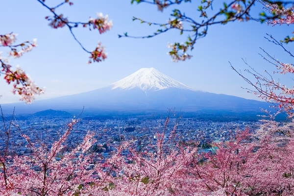 Upplev Japan till specialpris