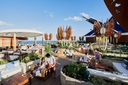 MyCruise Celebrity-Cruises Edge Offentlige-arealer Barer-lounger-atrium1