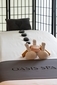MyCruise P&O-Cruises Aurora Offentlige-arealer Pool-spa5