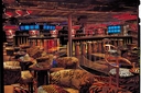MyCruise Carnival Paradise Offentlige-arealer Barer-lounger-atrium2