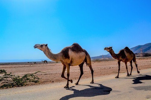 Oman - Salalah