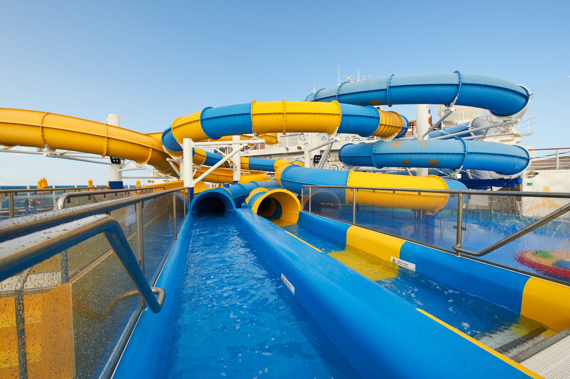 Carnival Venezia 8