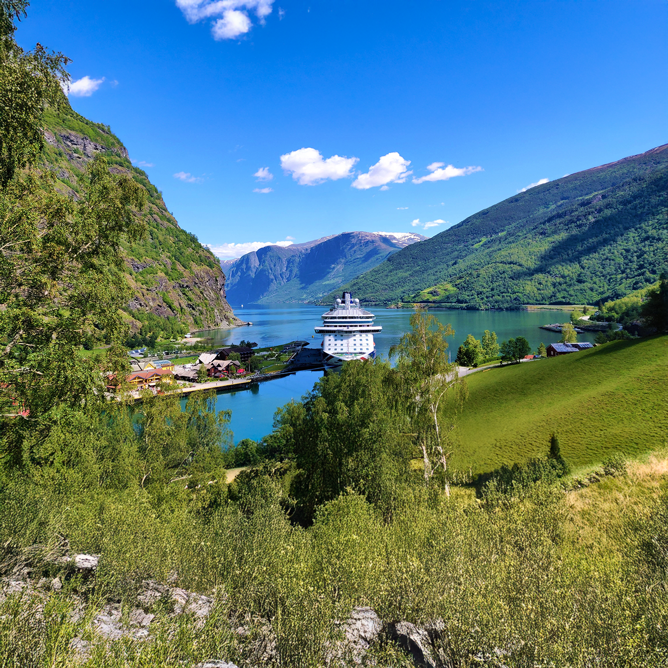 Direkte cruise fra Norge 2026