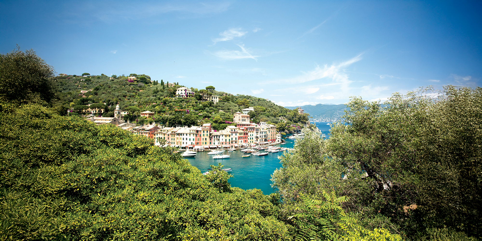 Bestil nu og bliv opgraderet