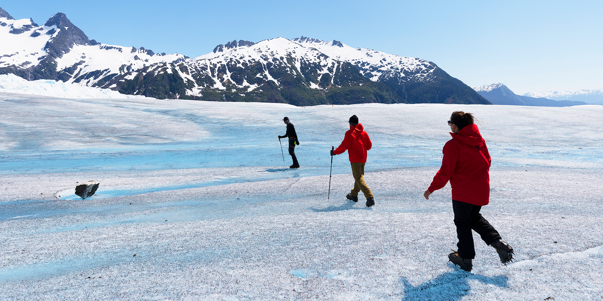 Kom tæt på Alaskas natur og dyreliv