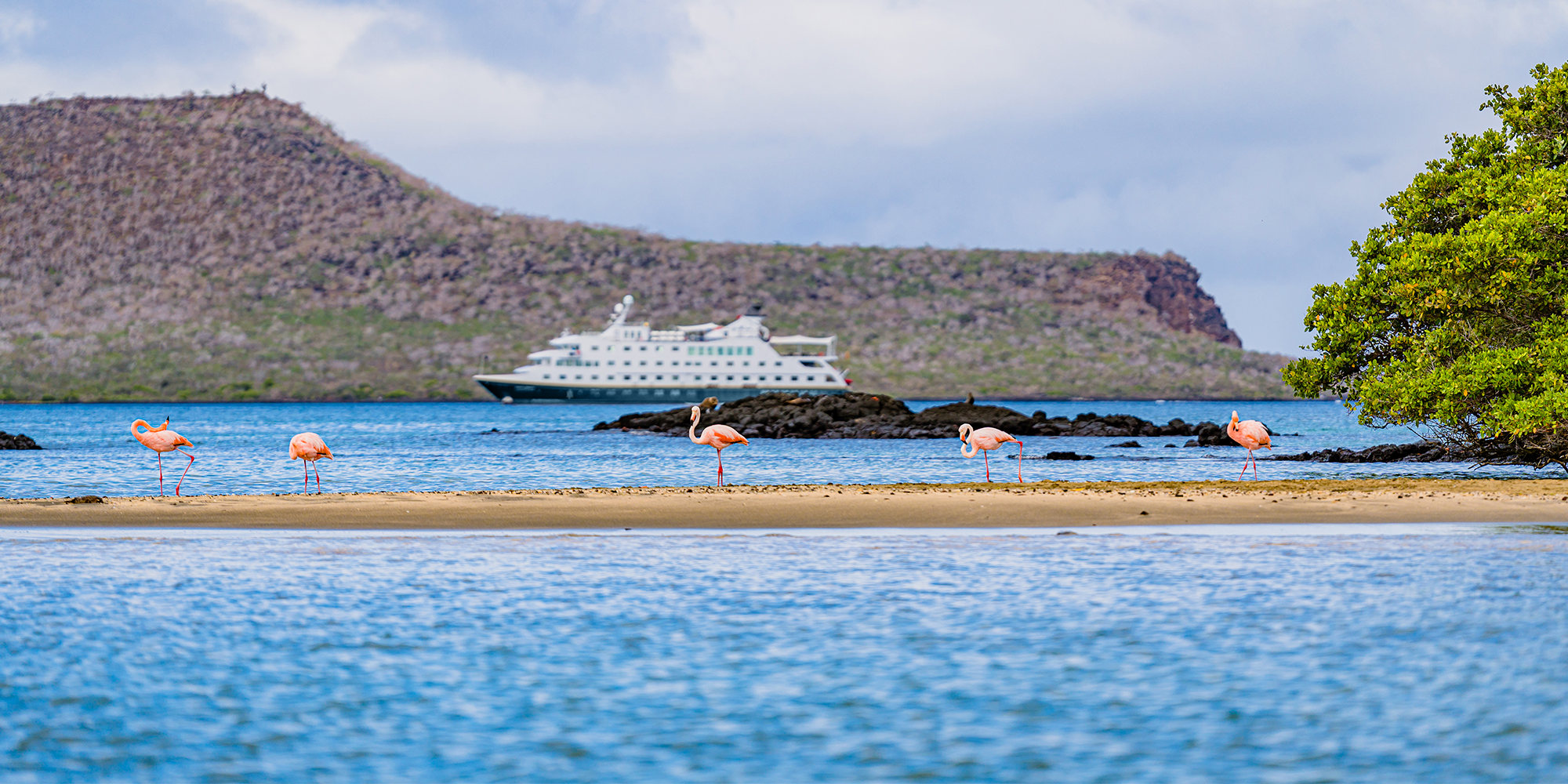 Kom helt tæt på Galapagos' dyreliv