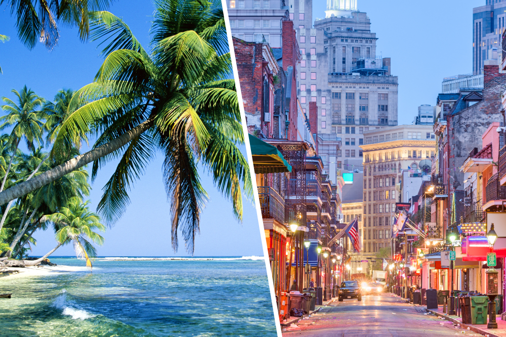 Fly, Cruise & Stay package // Mardi Gras
