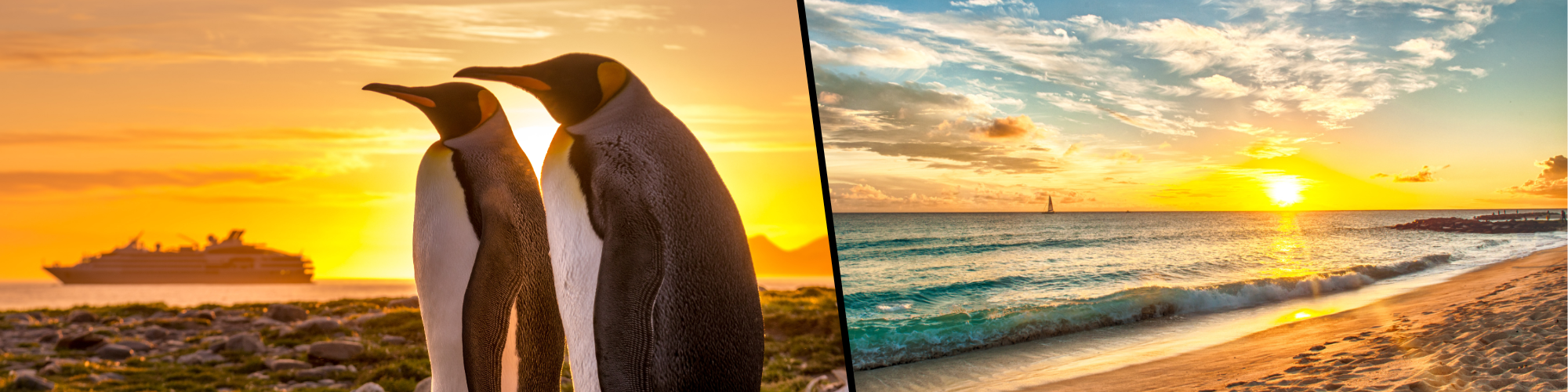 Want more luxury? When only the best is good enough