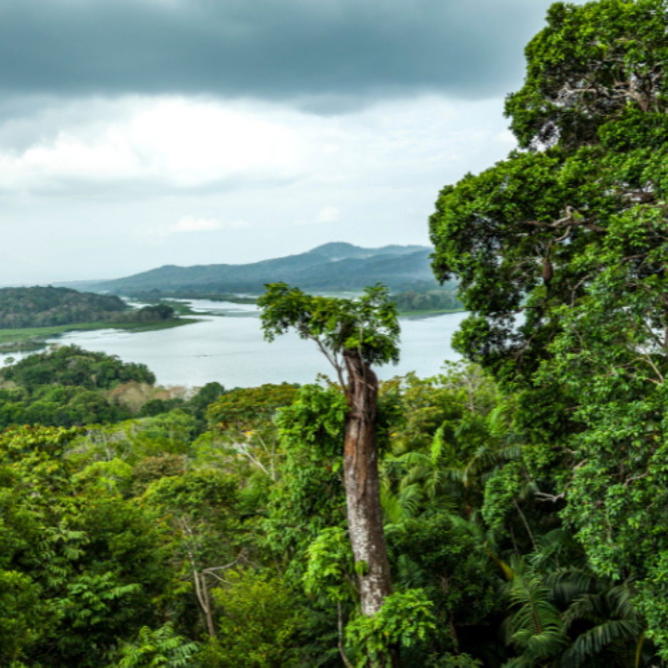 Sail through the Panama Canal