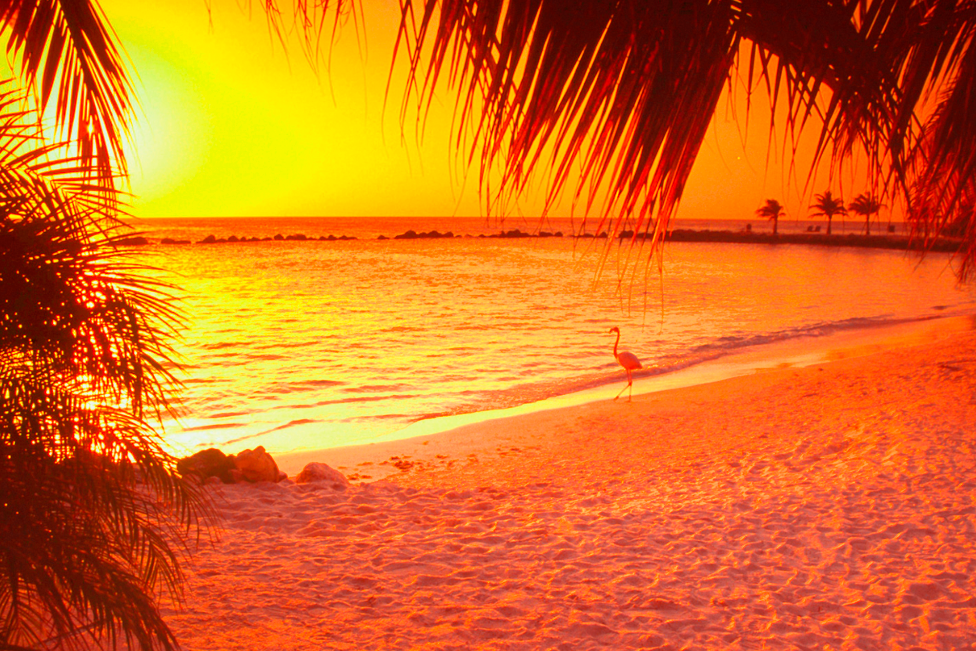 De beste tilbudene vinter 25/26